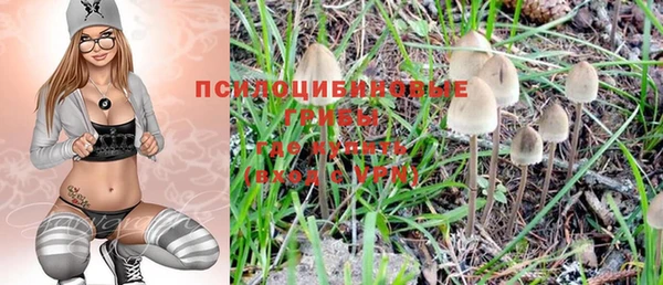 гашик Волосово
