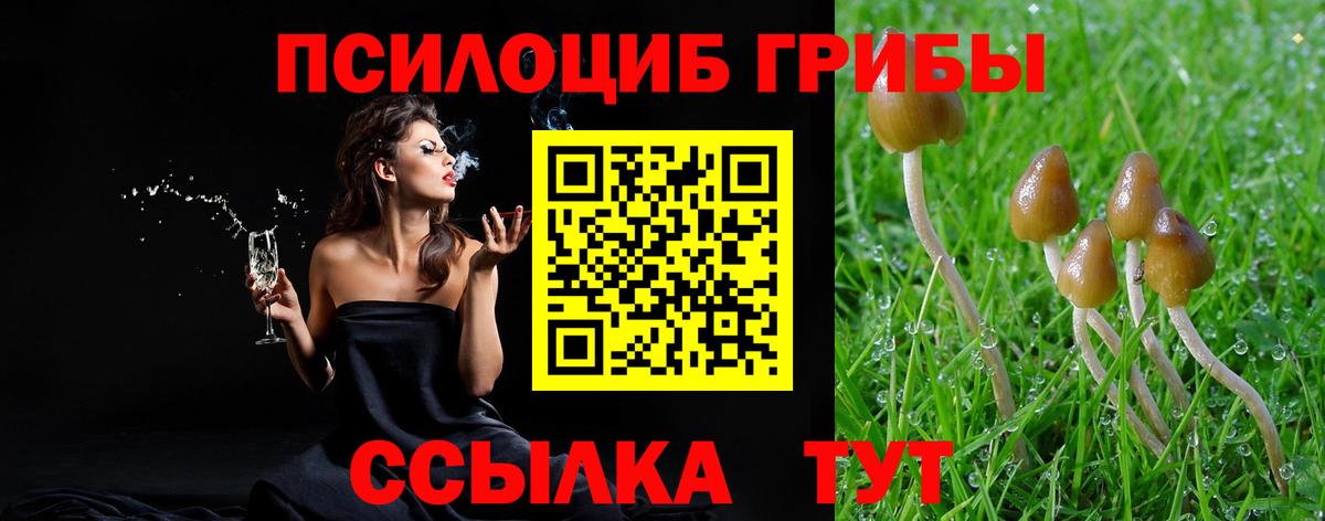 Псилоцибиновые грибы мицелий  Псилоцибиновые грибы Psilocybine cubensis  Славянск-на-Кубани  Вход с VPN 